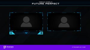 webcam overlays twitch FP