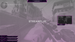 4 shot webcam overlay